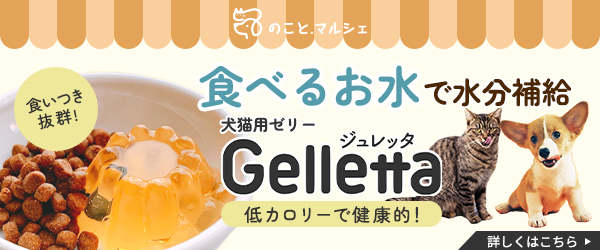 「うちの子とのお出かけが、もっと楽しくなる。」KAFUKAFUの新色リードが発売!