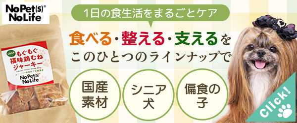 インターペット大阪に出展!車づくりの技術を“おやつ”に。愛犬に寄り添う「No Pet(S) No Life」
